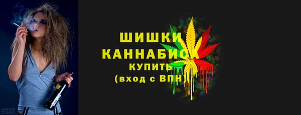 молекула духа Володарск