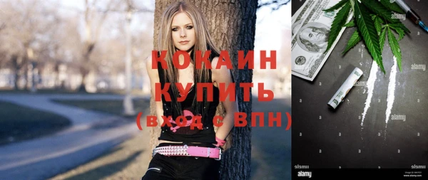 стафф Волоколамск