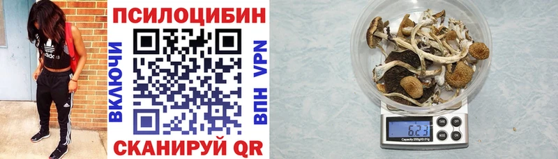 Галлюциногенные грибы ЛСД  Купить закладки  Верхняя Пышма 